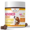 advanced joint support 1jar