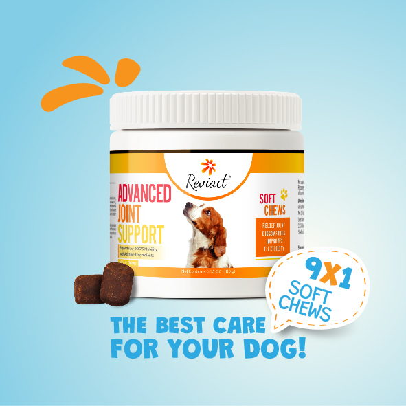 reviact® advanced joint supplement