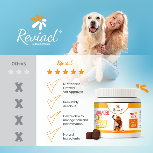 reviact® advanced joint supplement