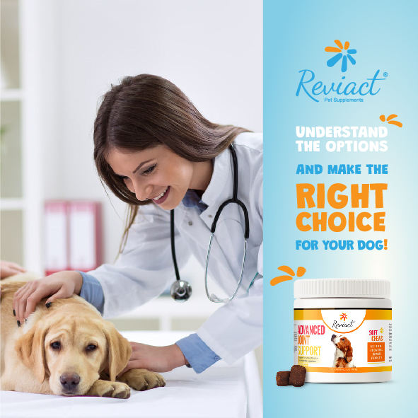reviact® advanced joint supplement