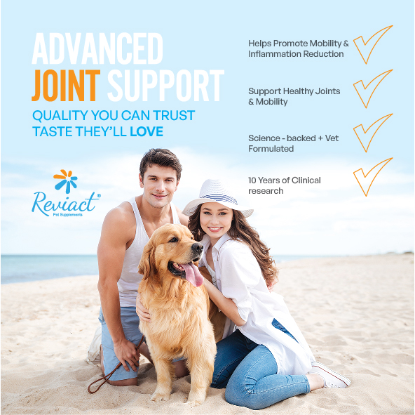 reviact® advanced joint supplement