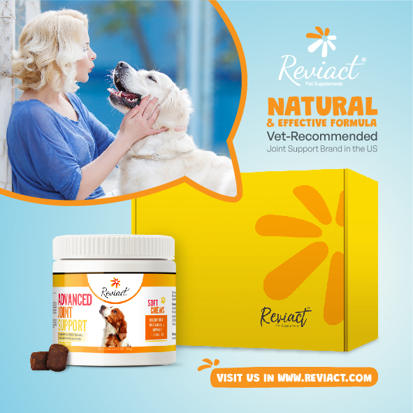 reviact® advanced joint supplement