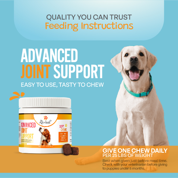 reviact® advanced joint supplement