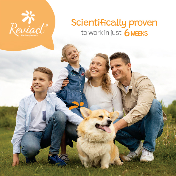 reviact® advanced joint supplement