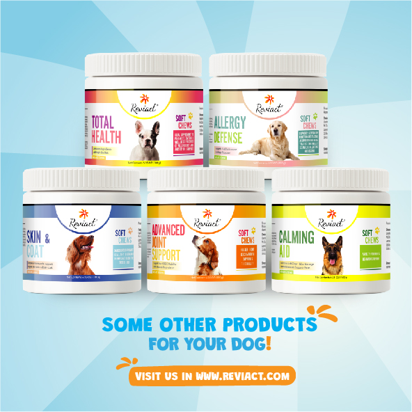 reviact® advanced joint supplement
