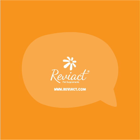 reviact® advanced joint supplement