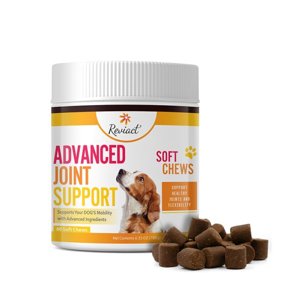 reviact pet supplements california advanced joint support 1