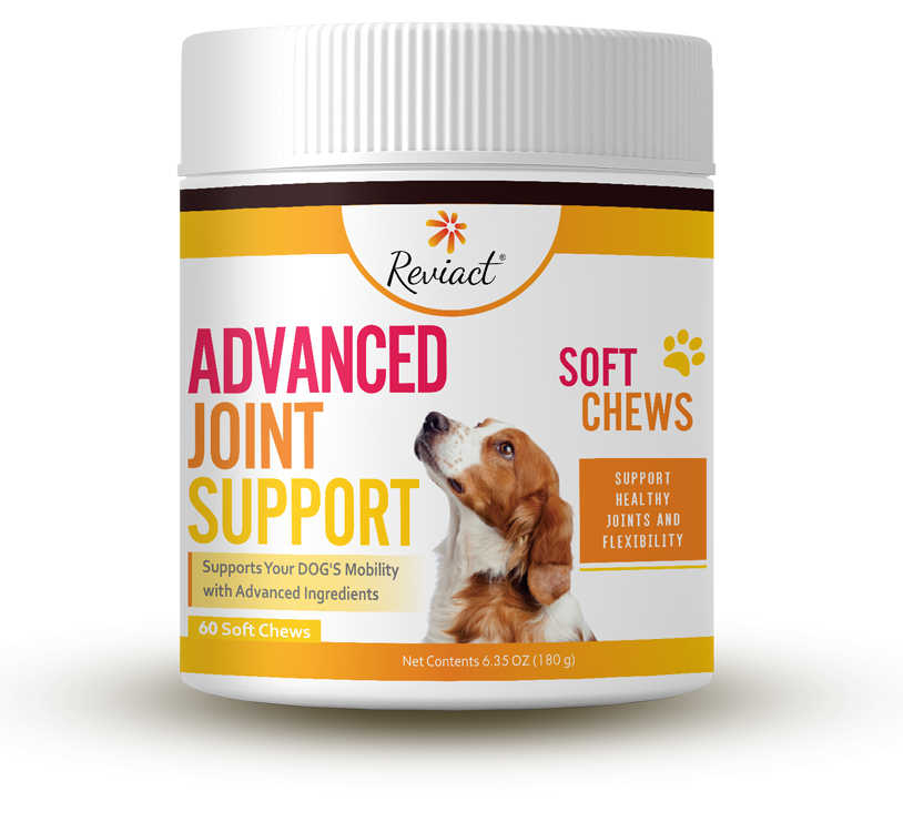 reviact pet supplements california pet health 71