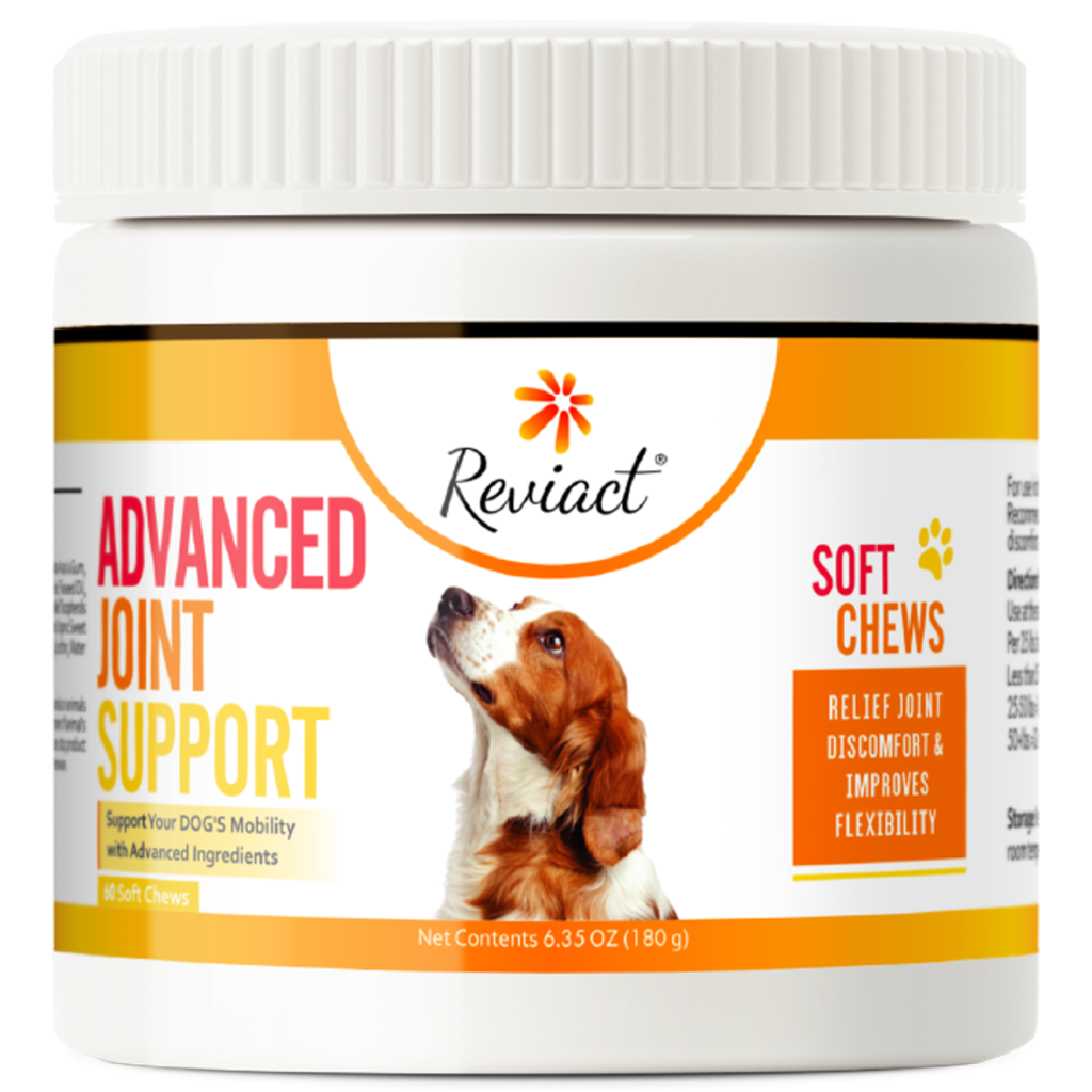 revicat advanced joint support 1 jar 2 2